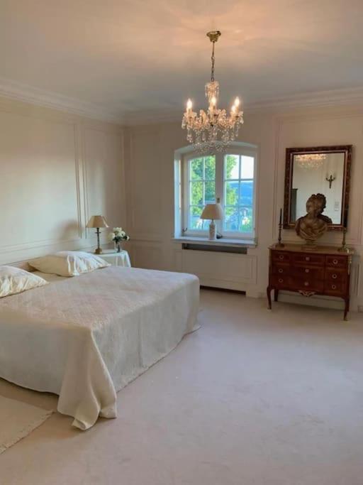 Villa Heckenfels 莱茵河畔的巴特霍内夫 外观 照片