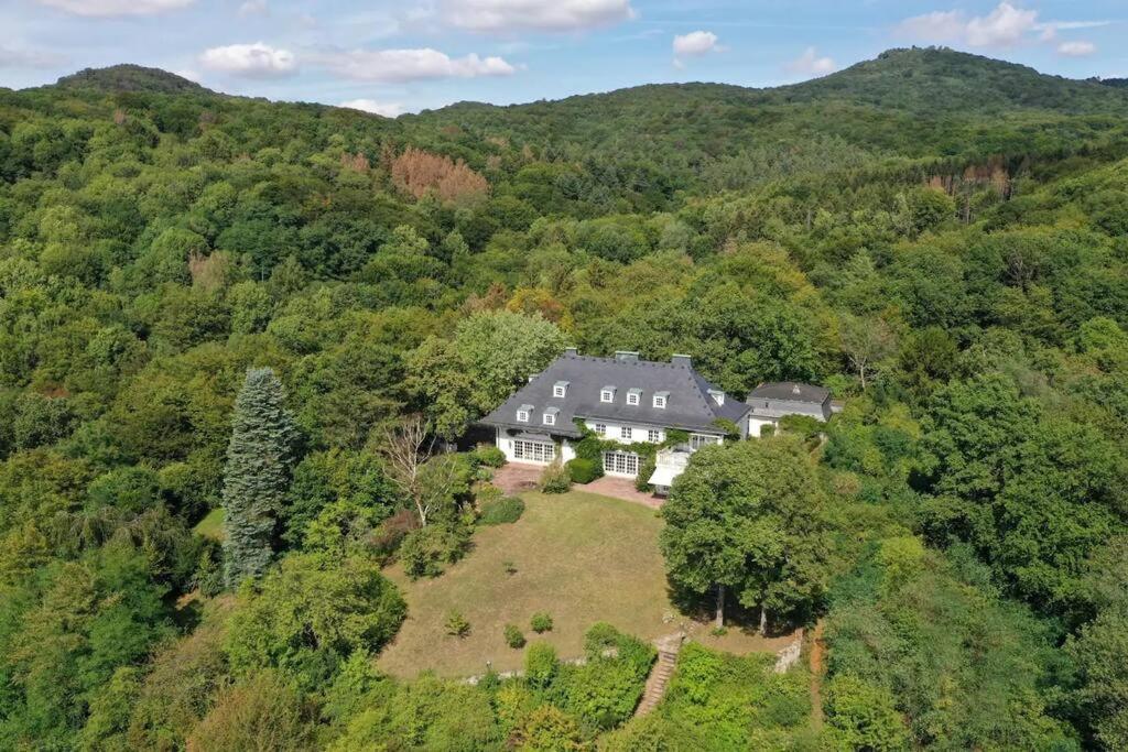 Villa Heckenfels 莱茵河畔的巴特霍内夫 外观 照片