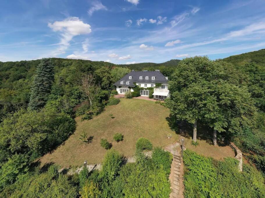 Villa Heckenfels 莱茵河畔的巴特霍内夫 外观 照片