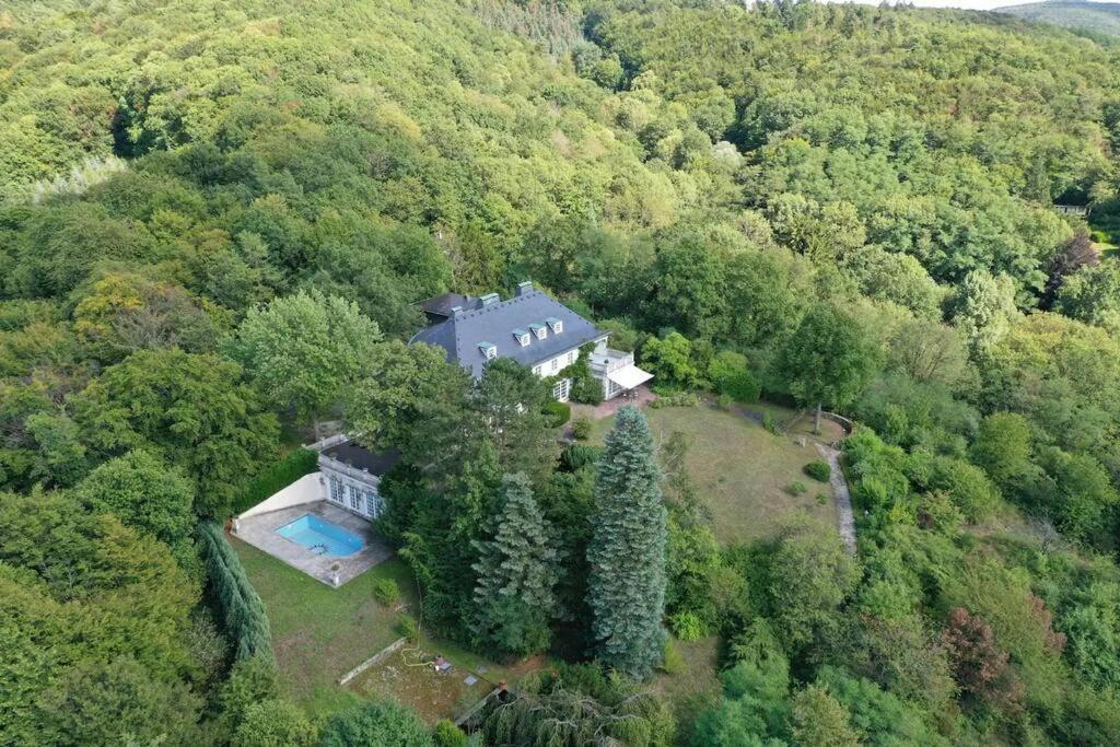 Villa Heckenfels 莱茵河畔的巴特霍内夫 外观 照片